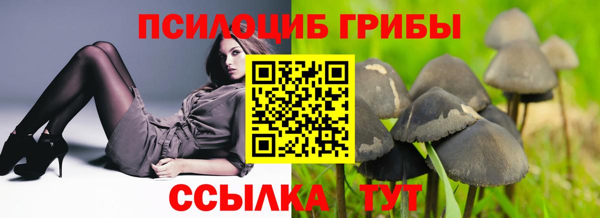 Галлюциногенные грибы прущие грибы Шарыпово